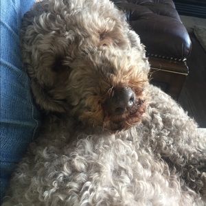 Meet your Posher, Peggy